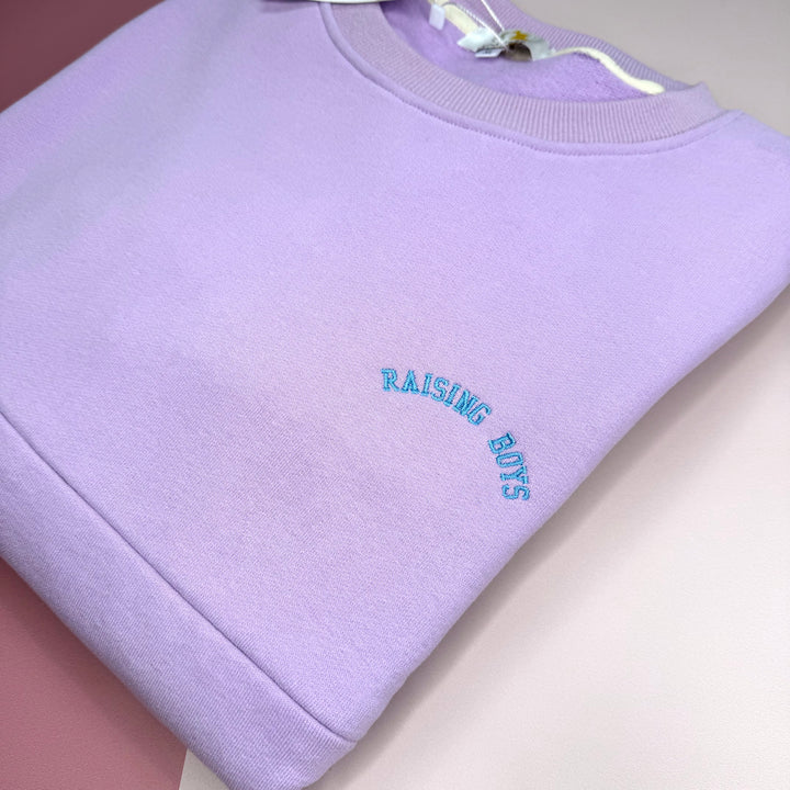 'Raising Boys' Embroidered Nursing Sweatshirt